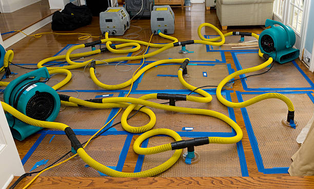 Professional Sewage Cleanup technician working in Ridgecrest, FL